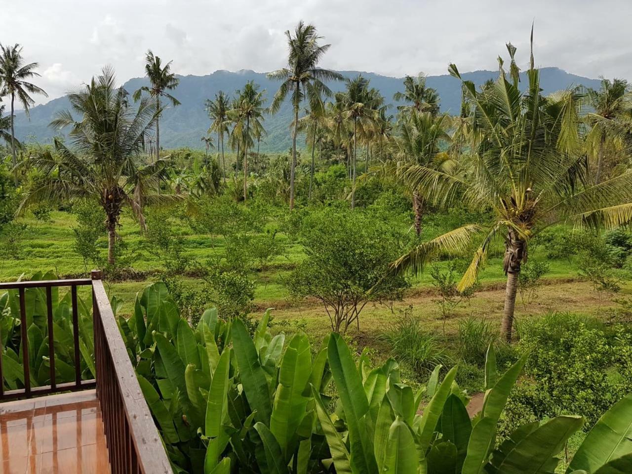 Buana Ecofarm Ecolodge Grokgak Buitenkant foto