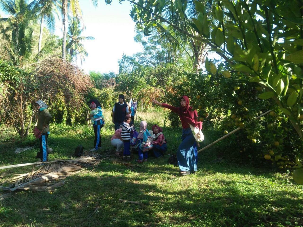 Buana Ecofarm Ecolodge Grokgak Buitenkant foto