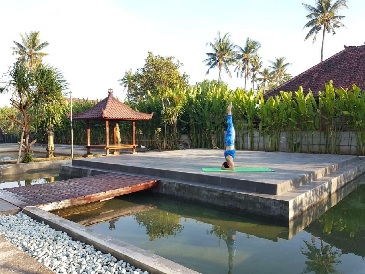 Buana Ecofarm Ecolodge Grokgak Buitenkant foto
