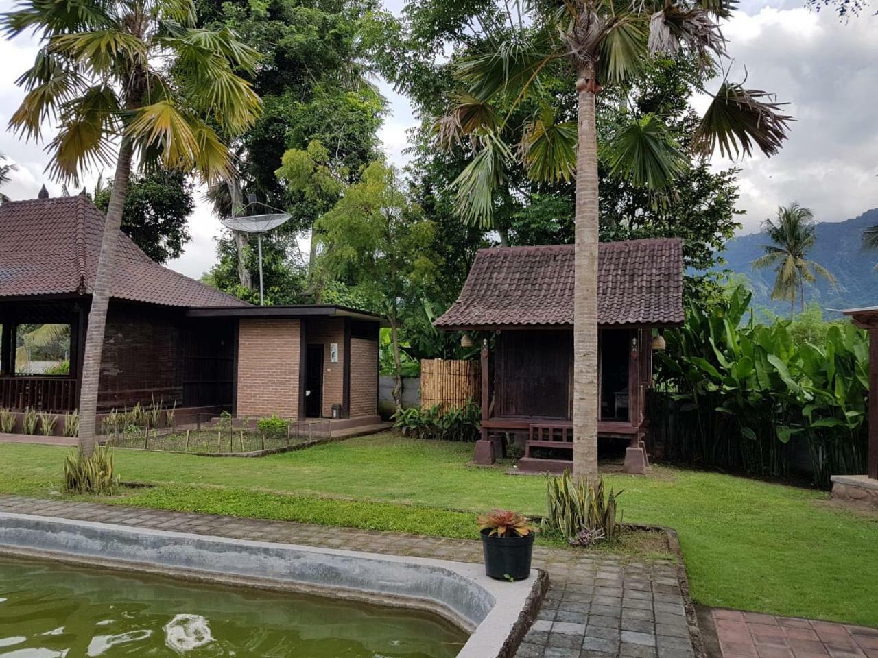 Buana Ecofarm Ecolodge Grokgak Buitenkant foto